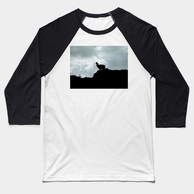 Lonely Llama silhouette Baseball T-Shirt by FollowHedgehog